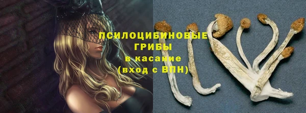амф Баксан